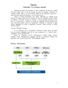Operațiunile instituțiilor de credit Volksbank - Pagina 3