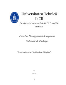 Managementul și Ingineria Sistemelor de Producție - Pagina 1