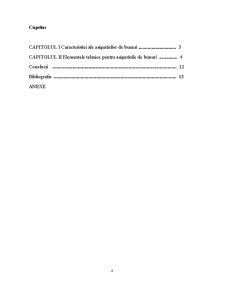 Particularități ale asigurărilor de bunuri prin prisma elementelor tehnice - Pagina 2