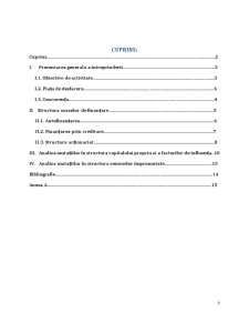 Analiza surselor de finanțare ale întreprinderii (Petrom) - Pagina 2