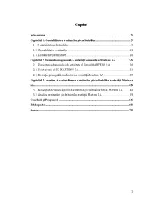 Contabilitatea Veniturilor și Cheltuielilor la SC Martens SA - Pagina 2