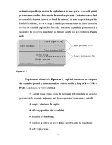 Modele de Analiza a Structurii Financiare la Nivelul Firmei - Pagina 4