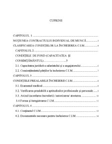 Încheierea Contractului Individual de Muncă - Pagina 2