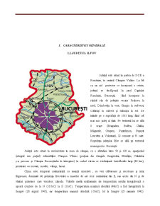 Determinarea decalajului regional dintre Județul Ilfov și Județul Arad - Pagina 4