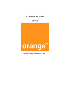 Proiect Strategie Orange - Pagina 1