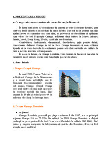 Proiect Strategie Orange - Pagina 3