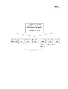 Analiza managementului unităților cu funcții de alimentare și cazare - Pagina 1