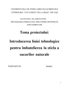 Introducerea Liniei Tehnologice pentru Îmbutelierea la Sticla a Sucurilor Naturale - Pagina 2