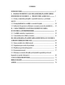 Organizarea, planificarea și eficiența producției de legume - Pagina 1