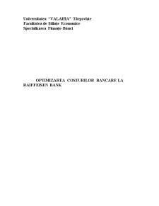 Optimizarea Costurilor Bancare la Raiffeisen Bank - Pagina 1