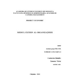 Mediul Extern al Organizației - Pagina 1