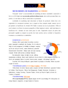 Analiza Mediului de Marketing - ING Group România - Pagina 5