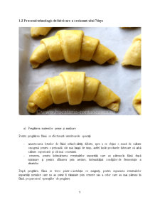 Lansarea pe Piață a Noului Croissant 7 Days cu Gem de Măceșe - Pagina 5