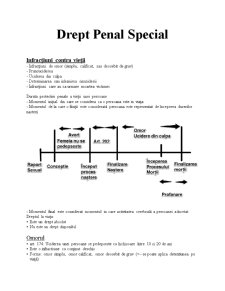 Drept Penal Special - Pagina 1