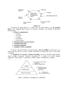 Sisteme Informatice de Gestiune - Pagina 2