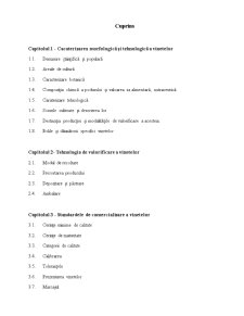 Caracteristici Tehnologice Standarde de Comercializare și Condiții de Valorificare la Pătlăgele Vinete - Pagina 2