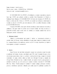 SC Prod SA Buzău - realizarea unei noi linii de producție pentru gofre - Pagina 5