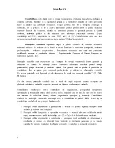 Principii Contabile General Acceptate în România - Pagina 3