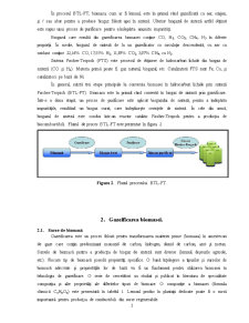 Conversia Biomasei în Hidrocarburi - Pagina 3