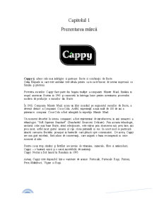 Raport de Cercetare Calitativă a Mărcii Cappy - Pagina 3