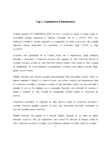 Proiect de practică Carpatica Asigurări - Pagina 2