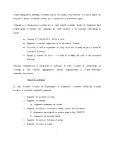 Proiect de practică Carpatica Asigurări - Pagina 3