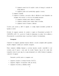 Proiect de practică Carpatica Asigurări - Pagina 5