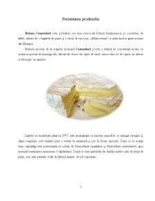 Descrierea pieței pe categorii de consumatori și nonconsumatori - Brânza Camembert - Pagina 2