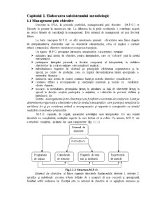 Elaborarea sistemului de management al societății pe acțiuni - Pagina 4