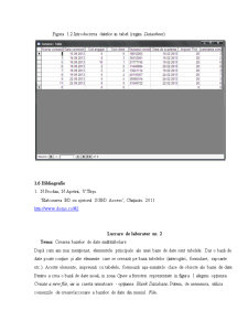 Proiectarea și Exploatarea unei Baze de Date - Pagina 5