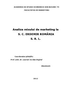 Analiza Mixului de Marketing la SC Erdemir România SRL - Pagina 2