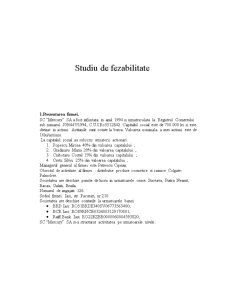 Studiu de Fezabilitate - SC Mercury SA - Pagina 3
