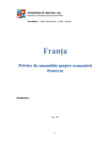 Privire de Ansamblu Asupra Economiei Franceze - Pagina 1