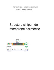 Structura și tipuri de membrane polimerice - Pagina 1