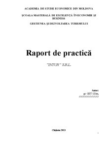 Raport de practică - Intur SRL - Pagina 1