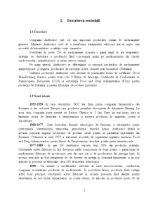 Analiza Performanței la Antibiotice Iași - Pagina 2