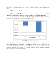 Analiza Performanței la Antibiotice Iași - Pagina 5