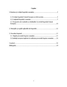 Bugetul comunitar și particularitățile sale - Pagina 2