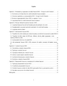 Studiu monografic Banca Româna pentru Dezvoltare - Pagina 2