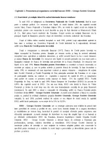 Studiu monografic Banca Româna pentru Dezvoltare - Pagina 3