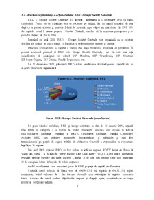 Studiu monografic Banca Româna pentru Dezvoltare - Pagina 4