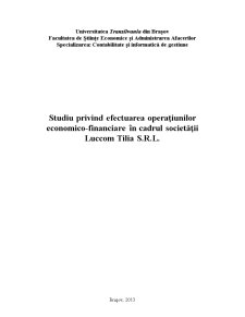 Bazele contabilității - monografie contabilă la societatea Luccom Tilia SRL - Pagina 1
