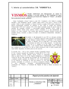 Raport privind practica de diplomă efectuată la IM Vismos SA - Pagina 1