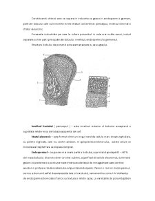 Schemă tehnică pentru o moară de porumb - Pagina 5