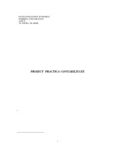 Proiect practică contabilitate - Pagina 1