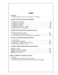 Elaborarea Sistemului de Management al Firmei - Pagina 2