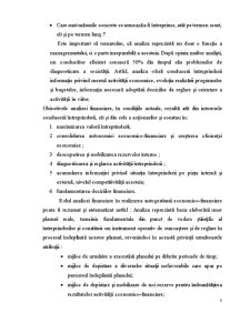 Analiză economico-financiară în Cadrul Societății cu Răspundere Limitată Miturix-Agro - Pagina 5