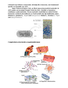 Nanotehnologia ADN-ului Supramolecular - Pagina 4