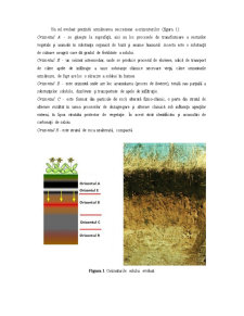 Fizica solului - Pagina 5
