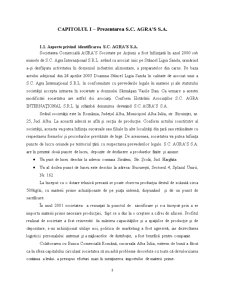 Organizarea Controlului de Gestiune la SC Agra’s SA - Pagina 3